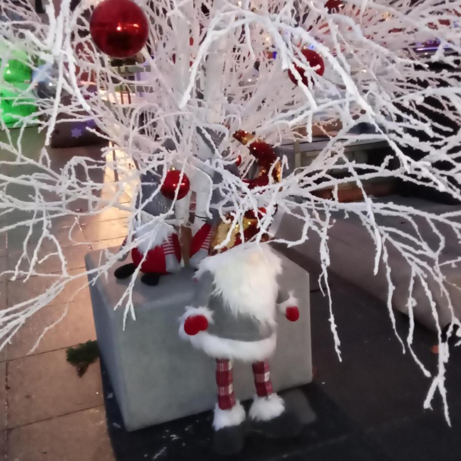 Gite Les Lavandieres Colmar Kültér fotó