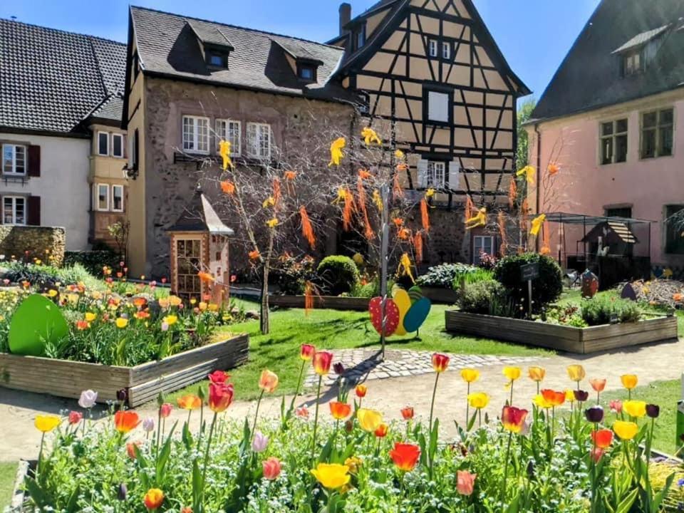 Gite Les Lavandieres Colmar Kültér fotó