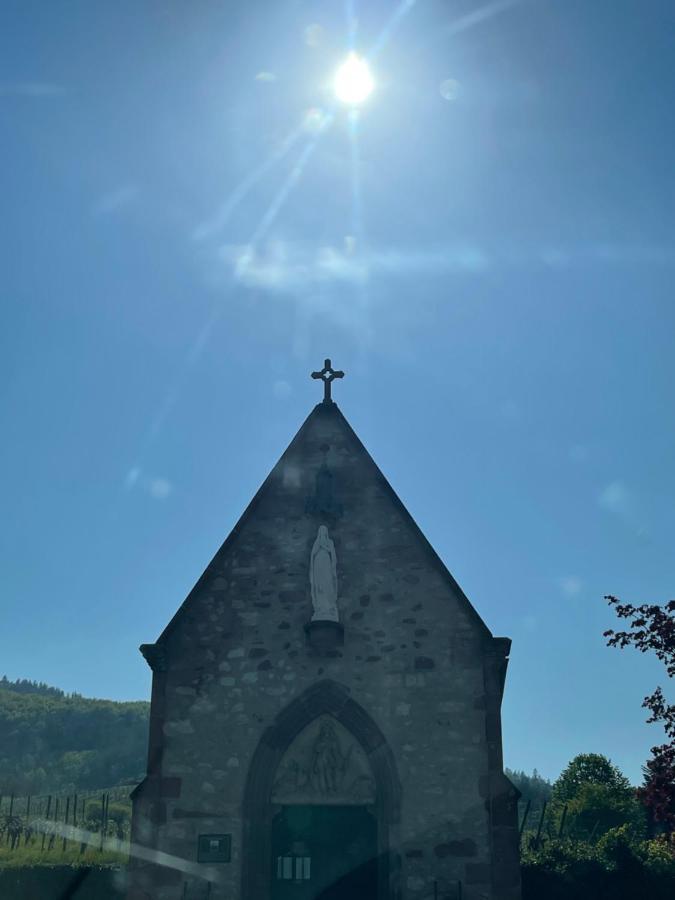 Gite Les Lavandieres Colmar Kültér fotó