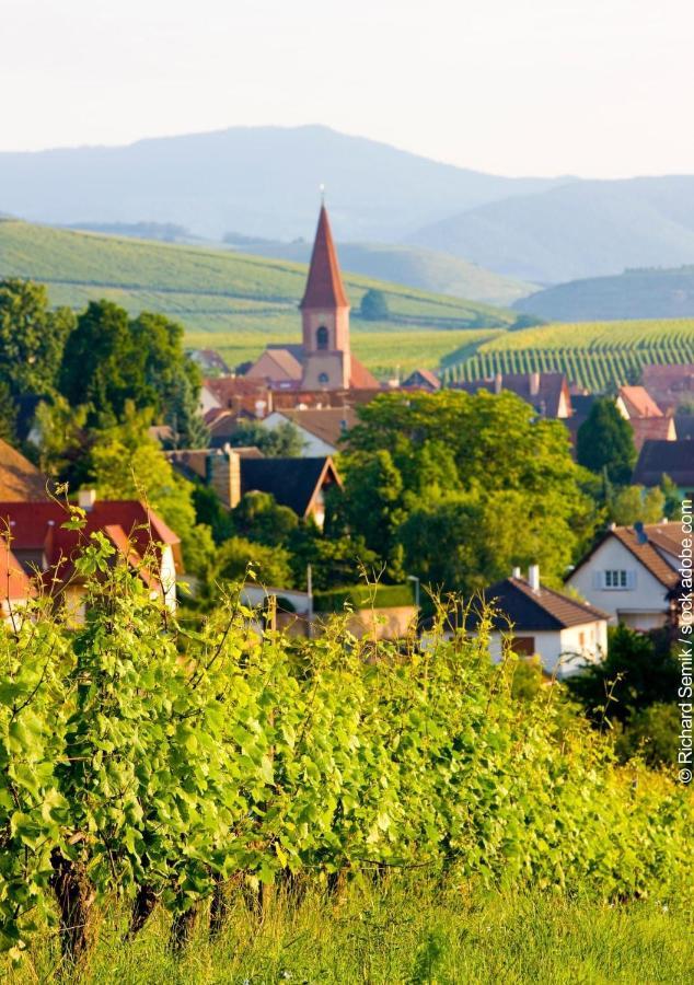 Gite Les Lavandieres Colmar Kültér fotó